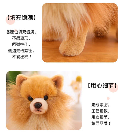 Realistic Pomeranian Plush Toy - Cute Soft Stuffed Puppy for Kids, Girls, Xmas Gifts & Home Decor