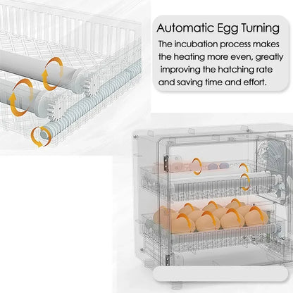24-Egg Automatic Incubator — Touch Control Hatchery Machine for Chicken, Duck, Quail & Bird Eggs