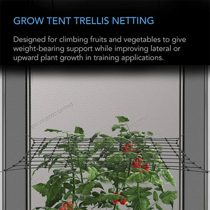 Heavy Duty Elastic Trellis Netting 1-Pack with 4 Hooks for Climbing Plants, Vegetables, Fruits, and Flowers