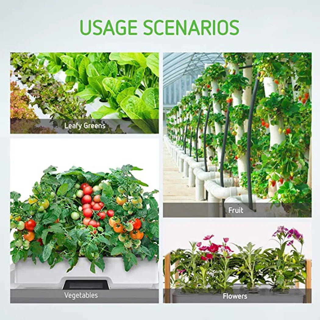 25PCS Hydroponic Mesh Net Pots – Soilless Plant Nursery Cups for Vegetable & Garden Growing