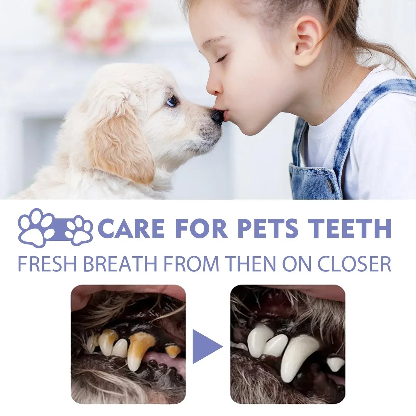 50ml Pet Oral Cleanse Spray - Freshen Dog and Cat Breath, Prevent Calculus, Remove Bad Breath, and Teeth Cleanser