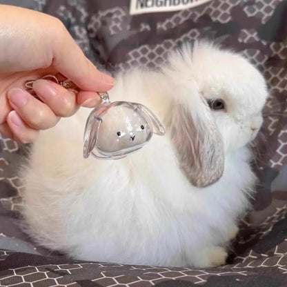 Cute Rabbit-Shaped Transparent Fur Storage Box — Hair & Pet Fur Keychain Capsule