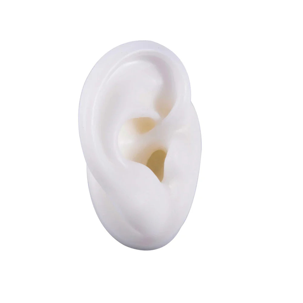 Soft Silicone Ear Model Display Stand – Tattoo Practice & Body Piercing Jewelry Holder with Acrylic Earring Display Kit for Training & Showcase