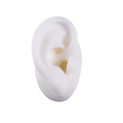 Soft Silicone Ear Model Display Stand – Tattoo Practice & Body Piercing Jewelry Holder with Acrylic Earring Display Kit for Training & Showcase