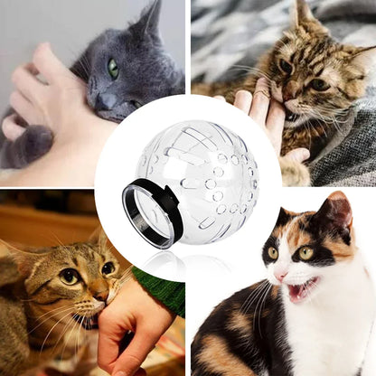 Cat Muzzle Protective Space Hood - Anti-Bite, Anti-Licking, and Breathable Grooming Mask for Cats - Small Pets Bathing and Grooming Supplies