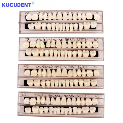 28-Teeth Resin Denture Set – Synthetic Dental Teaching Model for Education, Training & Permanent Teeth Practice Material
