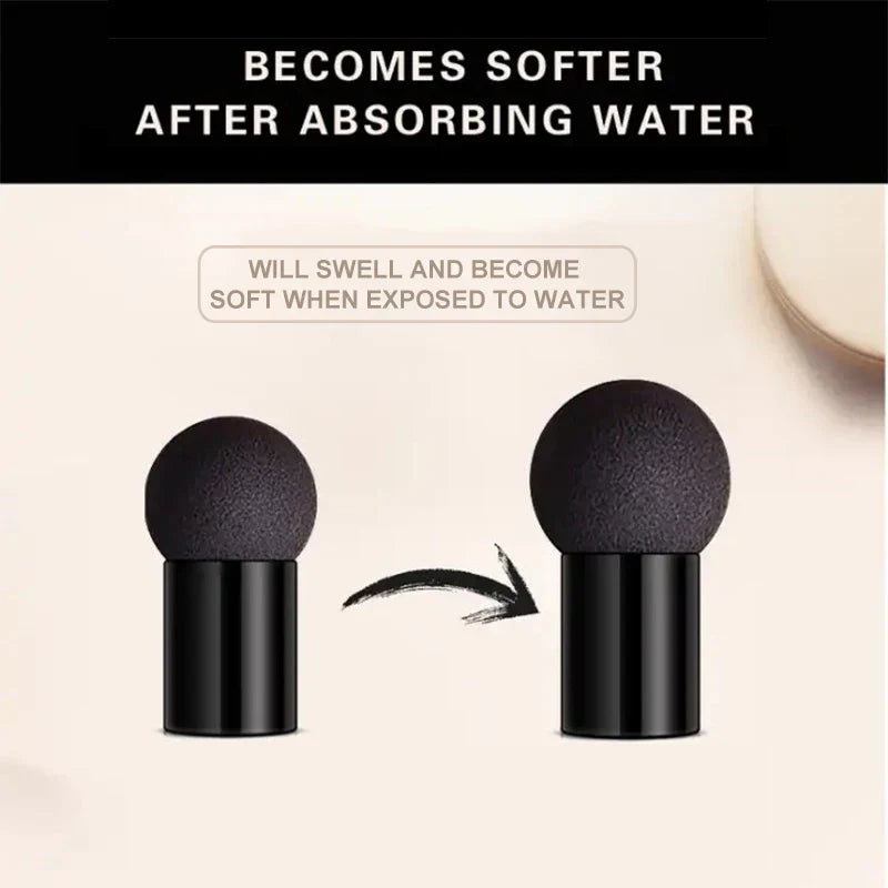 Mushroom Head Air Cushion CC Cream – Oil-Control Foundation, Whitening Concealer & Moisturizing BB Cream for Face Makeup