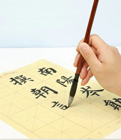Sumi Liquid Ink 50ml/100ml/250ml – Professional Traditional Chinese Calligraphy & Brush Painting Ink