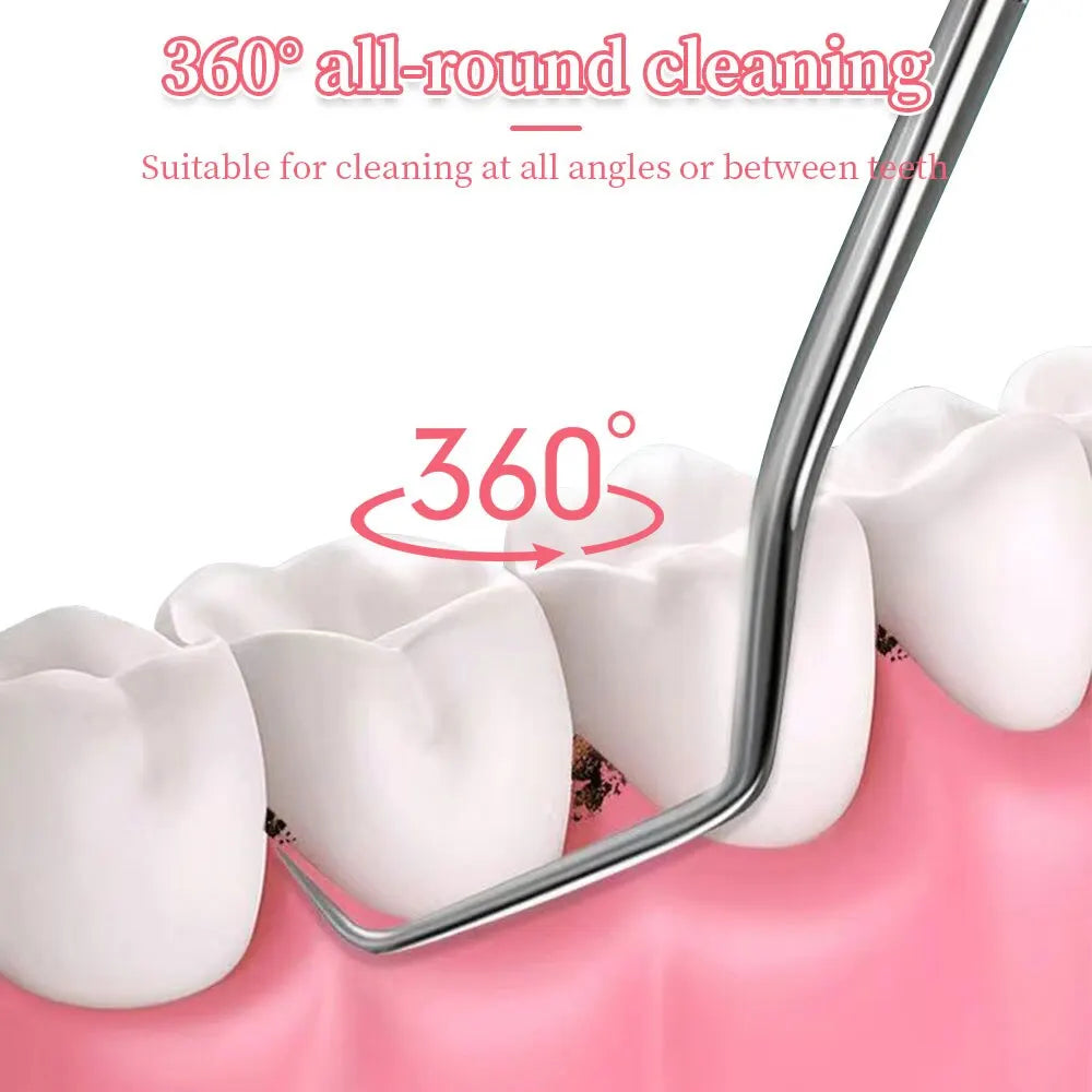 7pcs Stainless Steel Toothpick Set: Reusable Tooth Flossing Picks for Oral Cleaning - Portable Teeth Cleaner Kit
