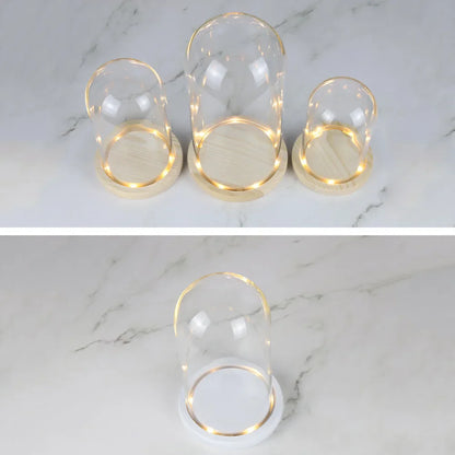 Glass Dome with Wooden Base & LED Light – Terrarium Vase, Flower Holder, Landscape Container for Bedroom Decor & Birthday Gifts