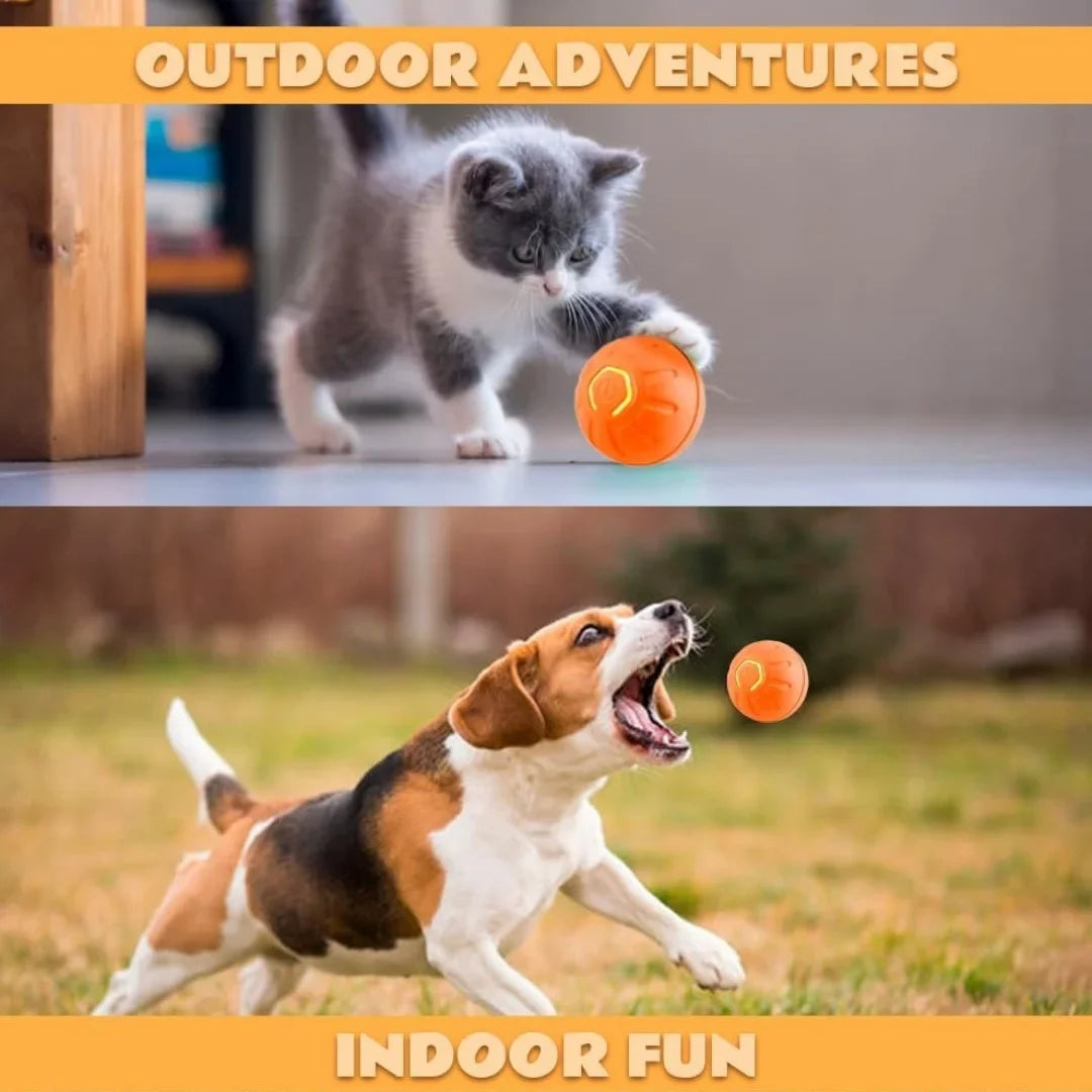 Smart Gravity Electric Bouncing Pet Ball Toy for Dogs and Cats – Interactive Automatic Rolling Amusement Toy for Pets