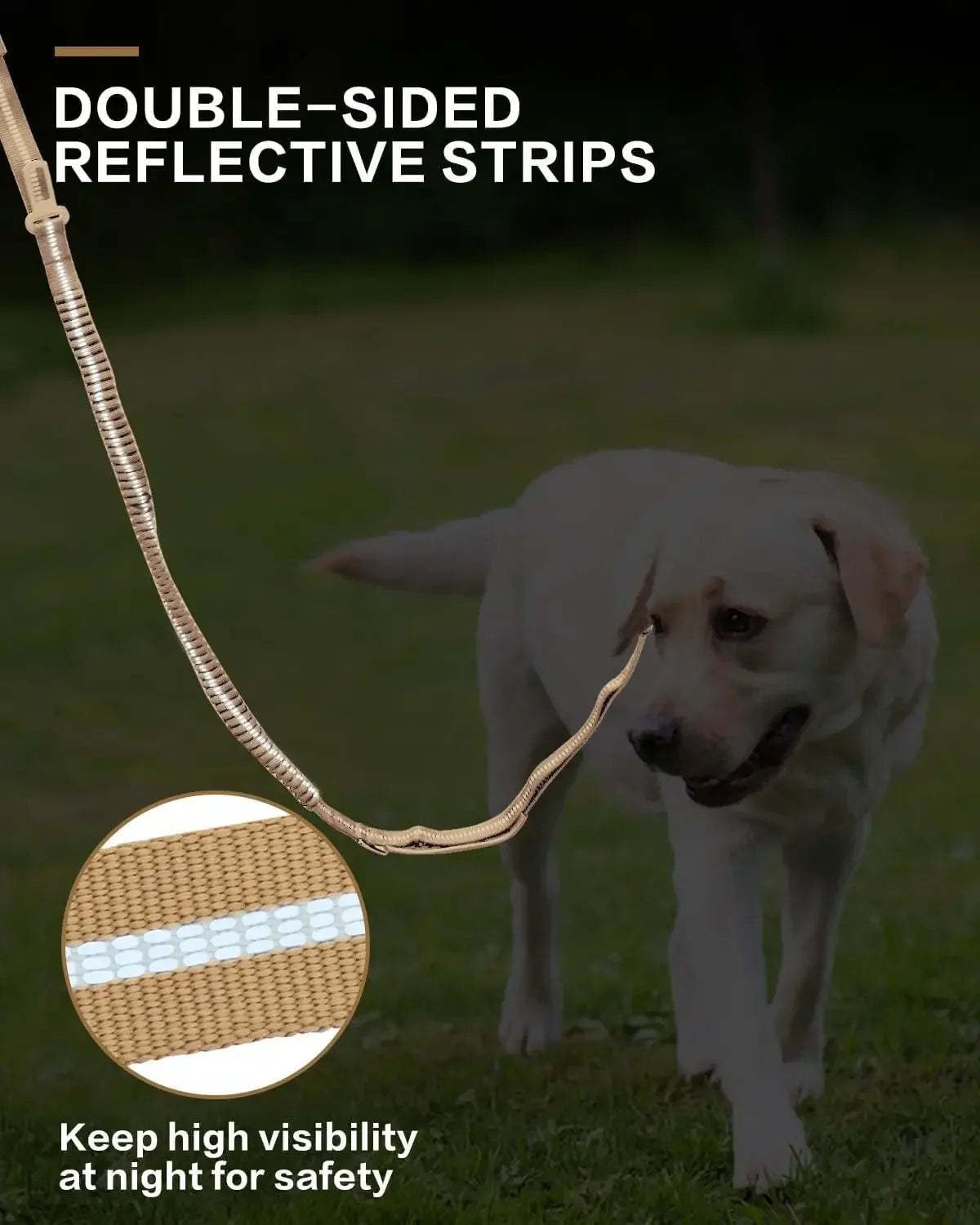 Reflective Shock-Absorbing Dog Leash – Heavy-Duty Tactical Bungee Leash with Car Seatbelt for Large Dogs, No-Pull Pet Leash