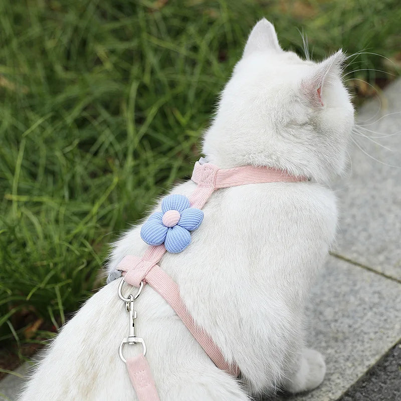 Adjustable Cat & Small Dog Harness with Leash – Breathable Pet Walking Strap Set