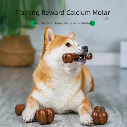 Natural Non-Toxic Indestructible Dog Chew Bone Toy – Anti-Bite Puppy Teething Toy for Small, Medium & Large Dogs Pet Chew Toy