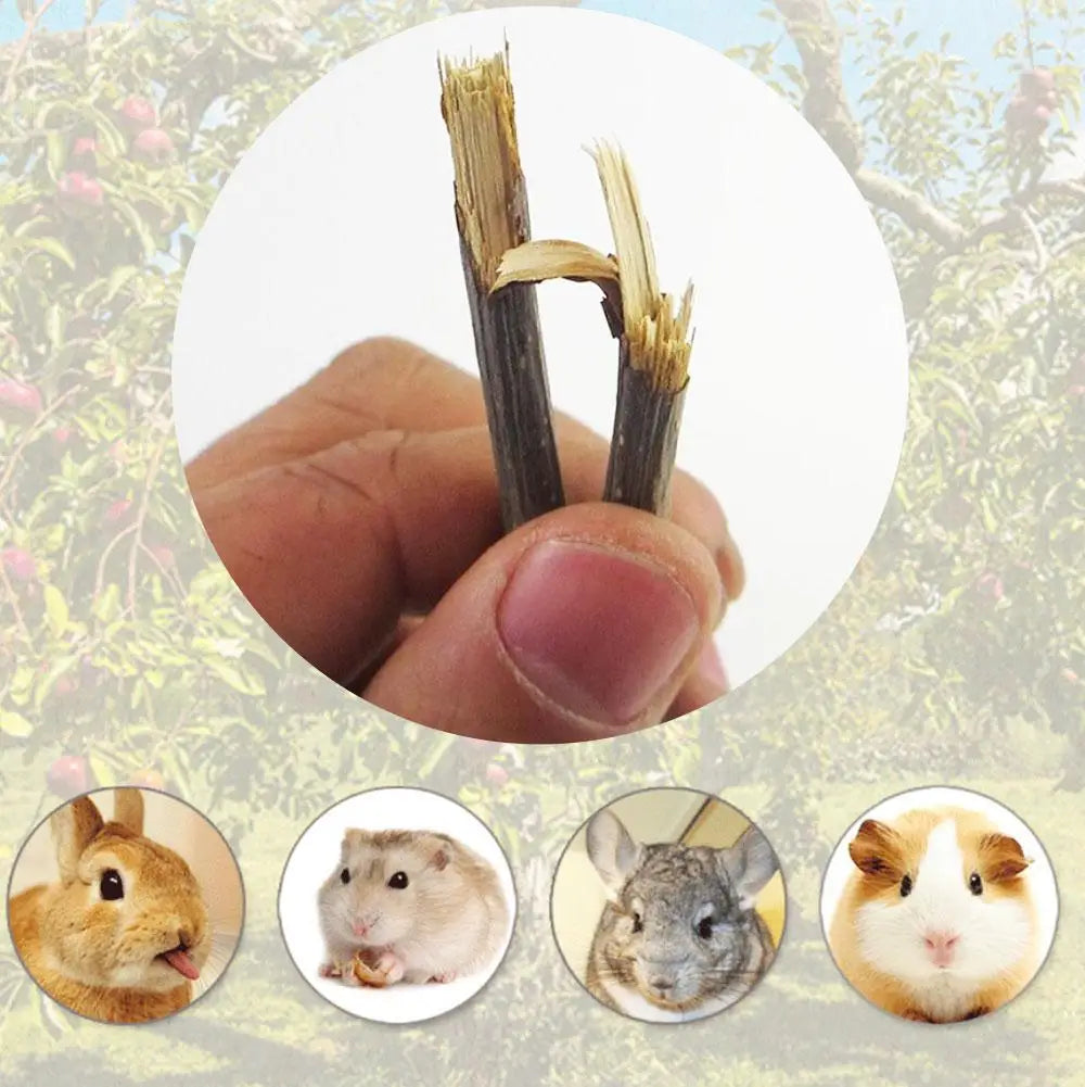 100% Natural Apple Branch Rabbit Chew Sticks – Wooden Teeth Cleaning Toys for Rabbits, Hamsters, Guinea Pigs & Small Pets, Natural Molars Care Chew Treats