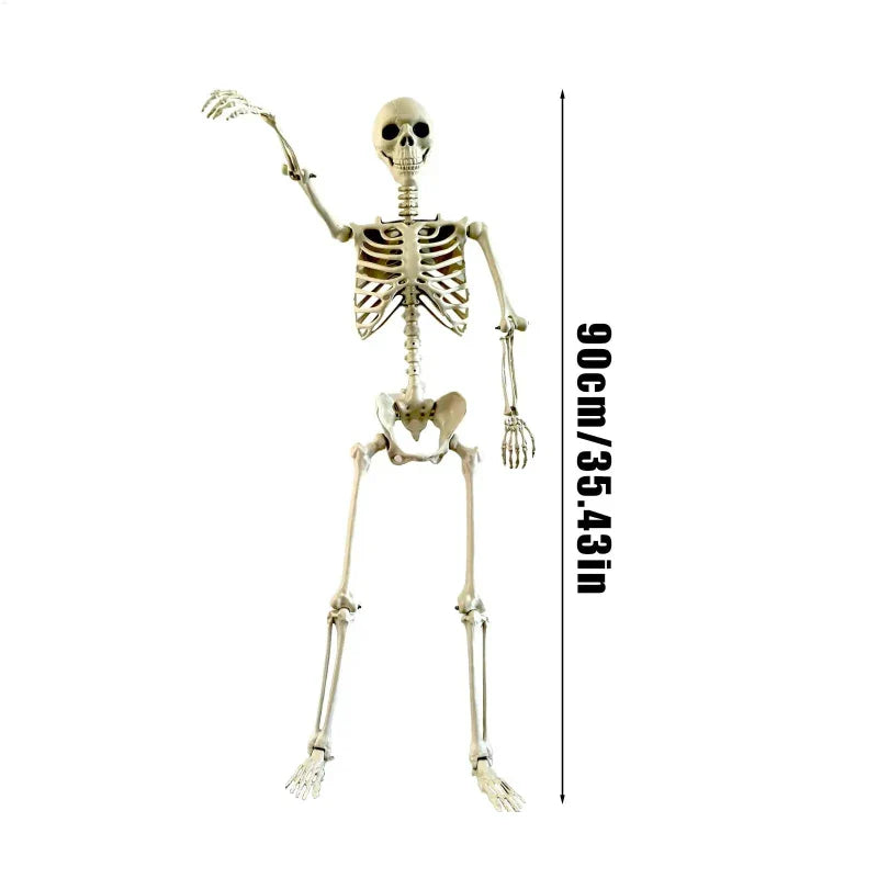 Halloween Life Size Human Skeleton Decoration — Realistic Body Bones with Posable Joints for Haunted House Horror Props