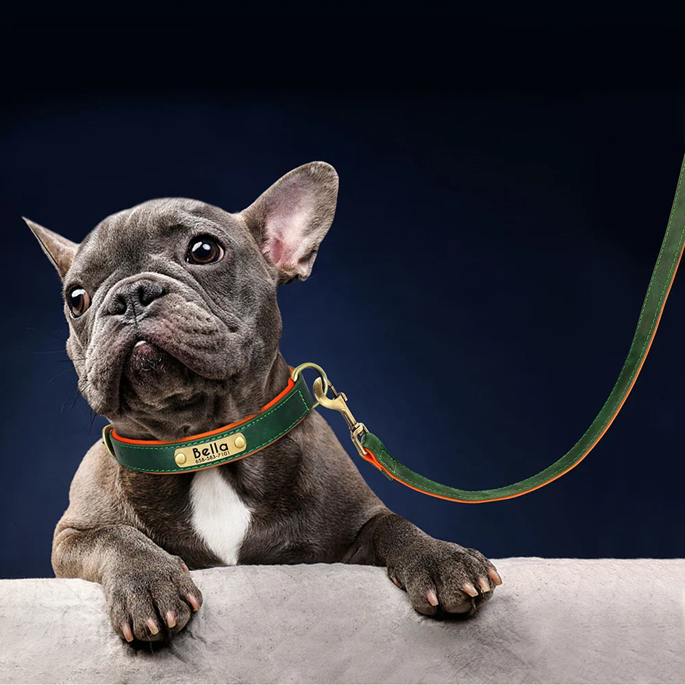 Customized Leather Dog Collar & Leash Set – Soft Padded Adjustable Collar for Small, Medium & Large Dogs with Engraved Nameplate