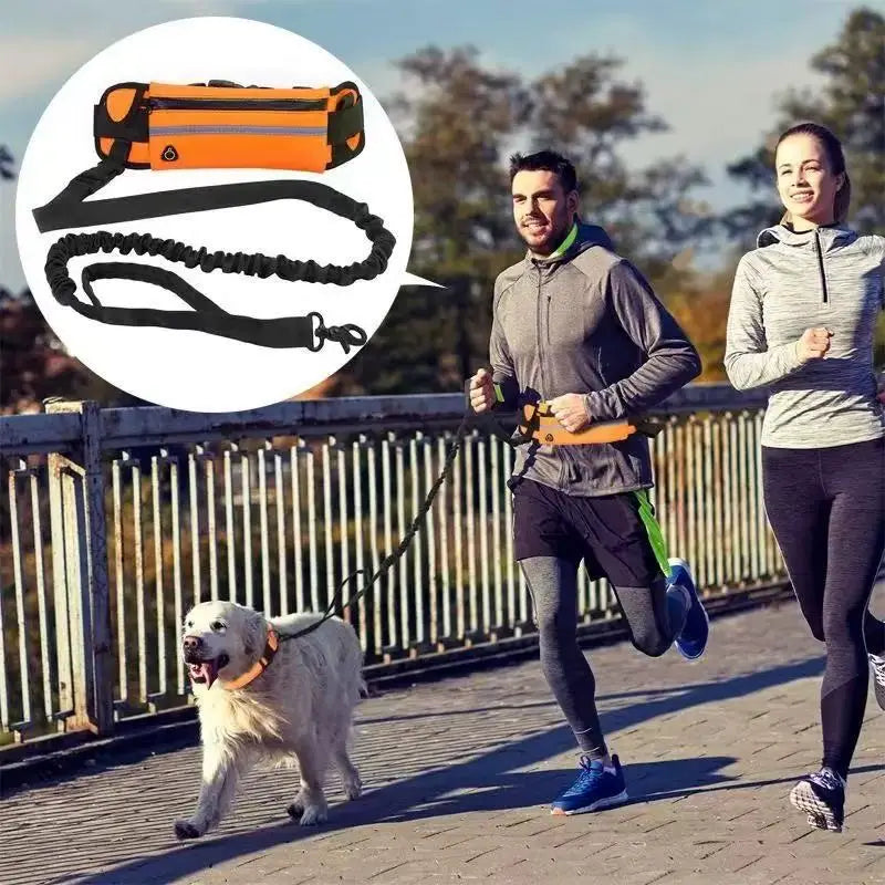 Reflective Hands-Free Dog Running Waist Leash Nylon Elastic Adjustable Pet Traction Belt with Waist Bag Retractable Control for Running & Walking
