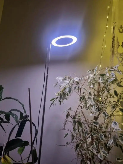 Height Adjustable LED Grow Light — Full Spectrum Plant Growing Lamp with 3 Timers for Indoor Large Plants