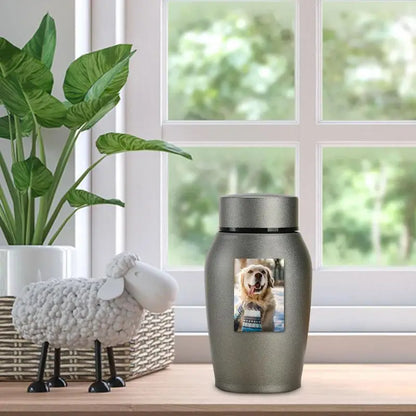 Multi-Colored Stainless Steel Pet Urn – Dog, Cat, Bird, Mouse Cremation Ashes Jar, Sealed Memorial Souvenir