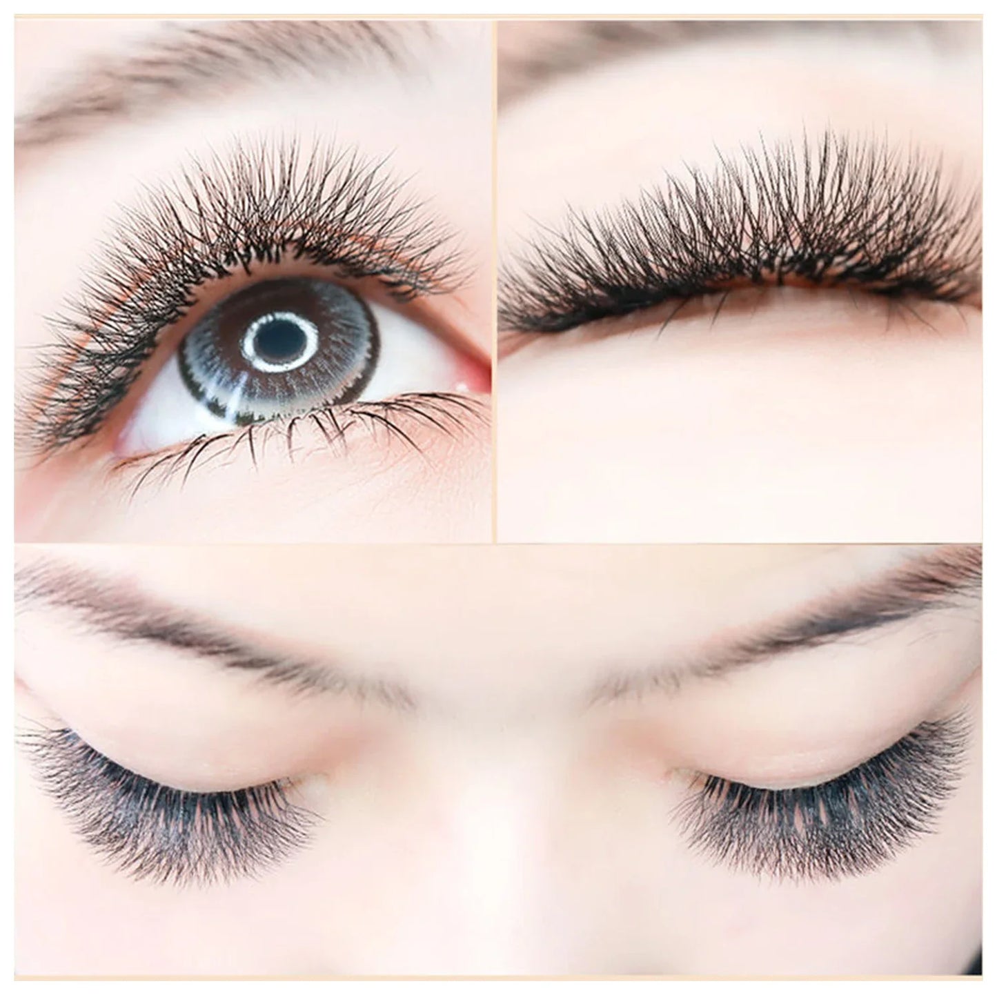 4D-5D W Eyelash Extension – Fluffy Volume Mink & Faux Mink Premade Fans, Dolly Hybrid 3D Lashes