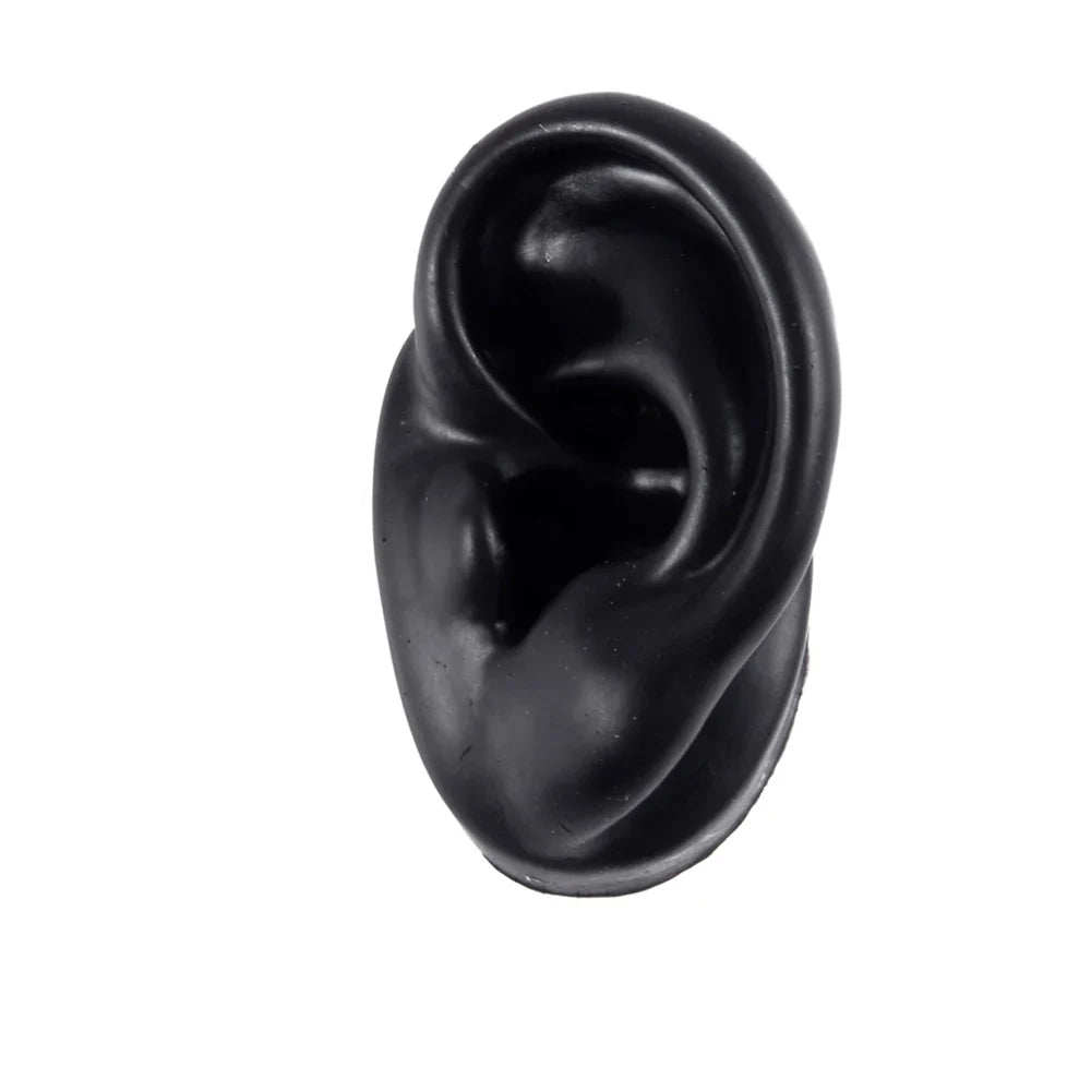 Soft Silicone Ear Model Display Stand – Tattoo Practice & Body Piercing Jewelry Holder with Acrylic Earring Display Kit for Training & Showcase