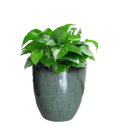 Compact Ceramic Plant Pot with Drainage Tray - Breathable Earthenware Planter for Patio & Home Plants