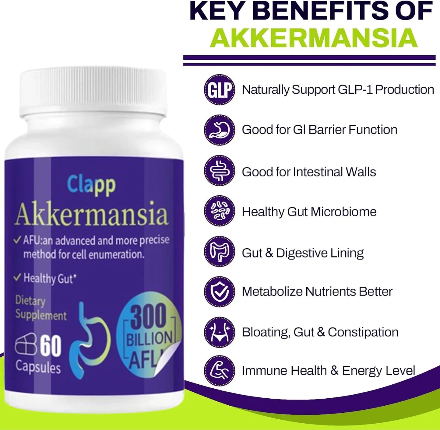 300 Billion AFU Akkermansia Muciniphila Probiotic – Live Digestion Support Supplement