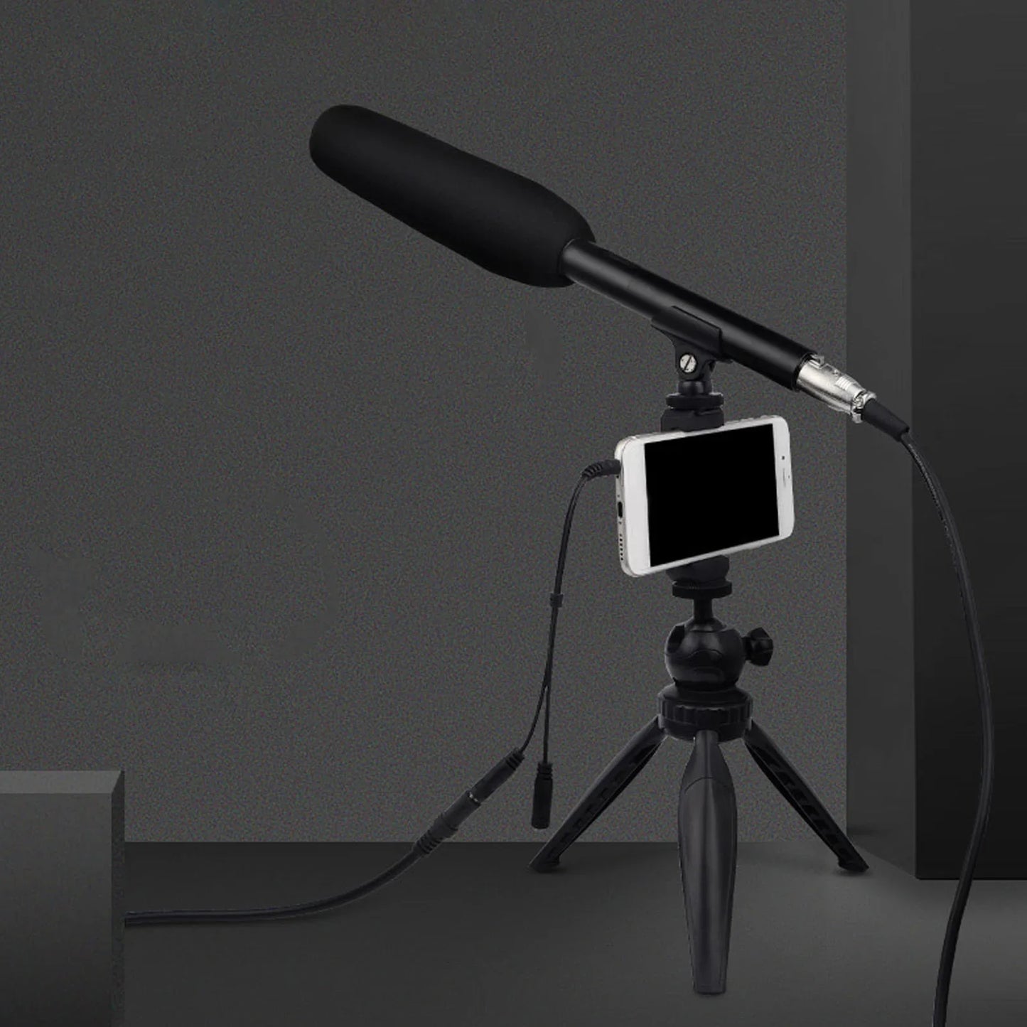 Professional XLR Shotgun Condenser Microphone - Cardioid Mini Interview Mic for TV News, Video Recording & Broadcasting