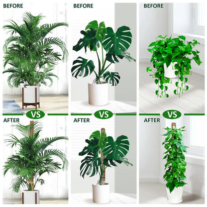 Indoor Climbing Plants Moss Pole - 30/40/50cm Plant Support with Garden Ties for Upward Growth - Ideal for Creepers