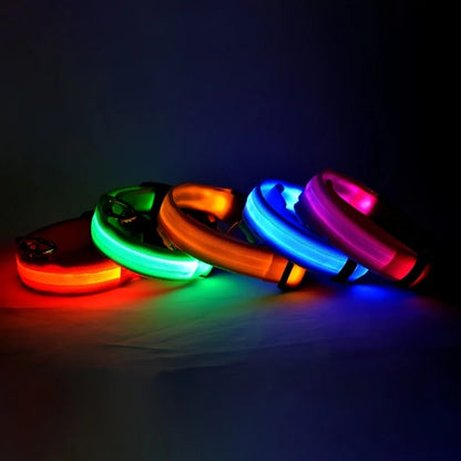 Nylon LED Night Safety Dog Leash: Flashing Glow-in-the-Dark Luminous Fluorescent Pet Collar