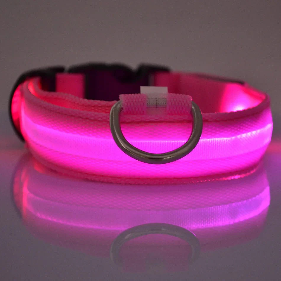 Nylon LED Night Safety Dog Leash: Flashing Glow-in-the-Dark Luminous Fluorescent Pet Collar
