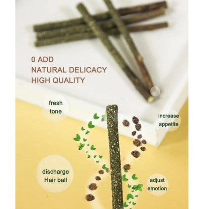 6-Pack Natural Silvervine Cat Chew Sticks - Exciting Matatabi Mint Flavor for Dental Health & Play, Pet Supplies