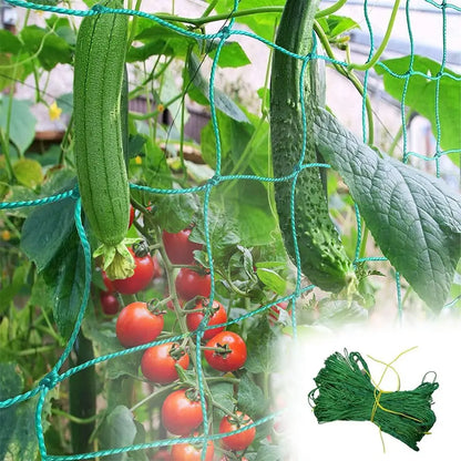 Heavy Duty Garden Nylon Climbing Net – Polyester Vine Support Mesh for Cucumbers, Tomatoes & Grapes