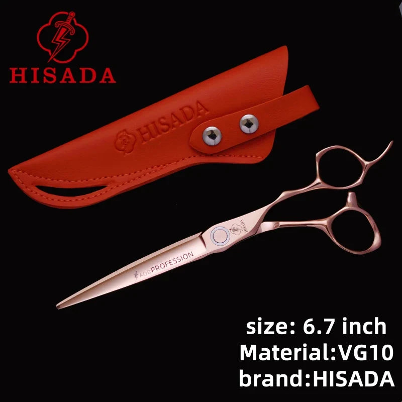 HISADA Professional Hairdressing Scissors – 6.0 Inch VG10 Barber Scissors for Salon Hair Cutting