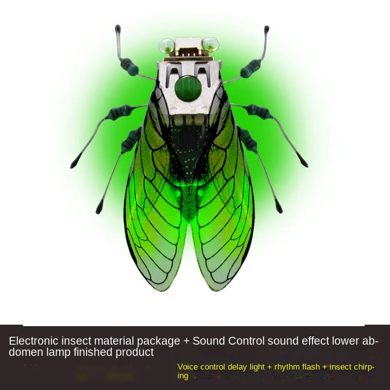 DIY Robotic Insect Kit - STEAM Science Electronic Animal Building Toy