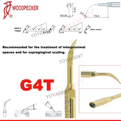 Woodpecker Dental Scaler Tips – Ultrasonic Tooth Cleaning, Endo & Perio Scaling Tips, Fit EMS UDS Scaler Handpiece