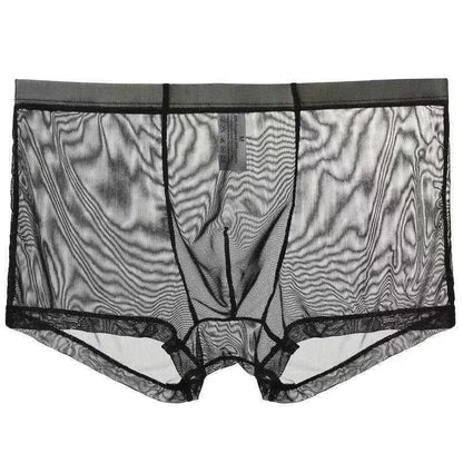 Transparent Ice Silk Men's Boxers - Low Waist See-Through Bulge Underwear