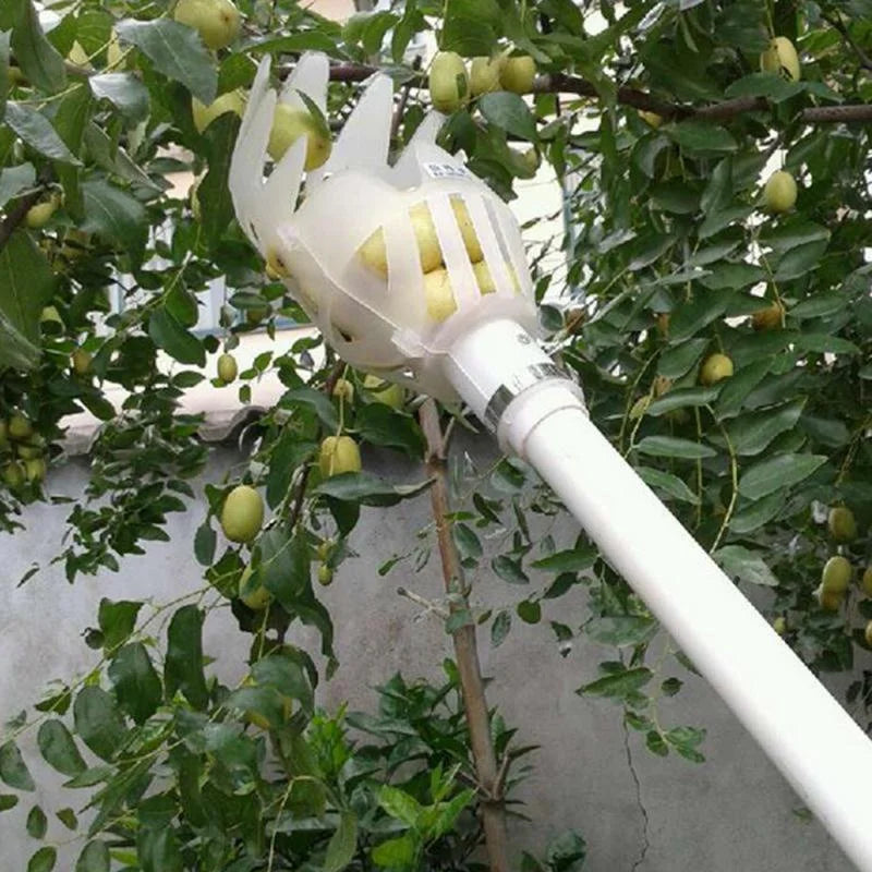 Multi-Color Garden Hand Fruit Picker | Plastic Picking Tool for Bayberry & Jujube Harvesting | Agrarische Fruit Catcher