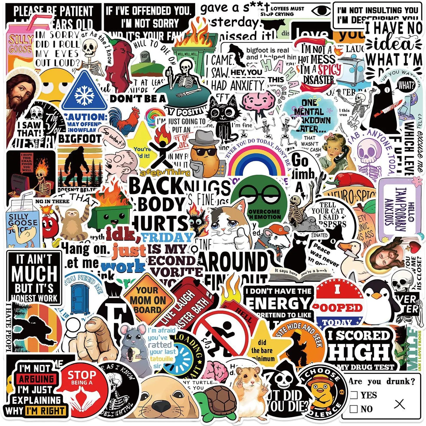 100PCS Cartoon MEME Stickers — Snarky Decals for Phone, Scrapbook, Skateboard, Suitcase, Refrigerator & Graffiti Aesthetic