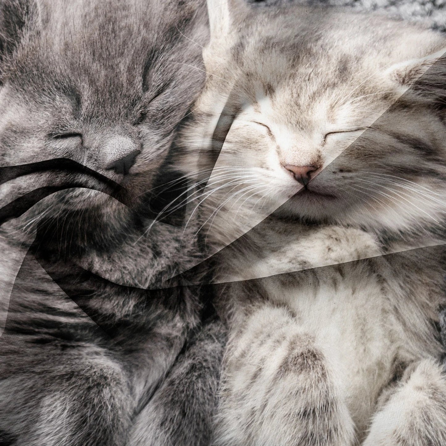 3-Piece Romantic Cat Print Duvet Cover Set - Soft Valentine’s Day Couple Bedding