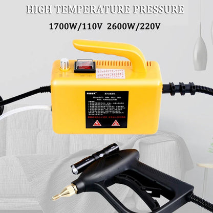 High-Temperature Home Steam Cleaner – Sterilization for Air Conditioning, Kitchen Hood & Car, 110V/220V