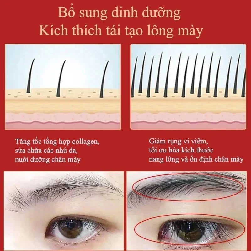 Eyebrow & Eyelash Growth Serum – Anti-Hair Loss Formula for Fuller, Thicker, Longer Brows and Lashes