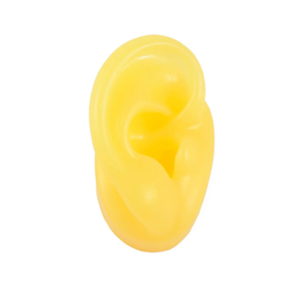 Soft Silicone Ear Model Display Stand – Tattoo Practice & Body Piercing Jewelry Holder with Acrylic Earring Display Kit for Training & Showcase