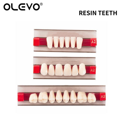 84PCS Dental Acrylic Resin Denture Teeth Set – Full Mouth Upper & Lower False Teeth Model (A1/A2/A3, S/M/L Sizes)