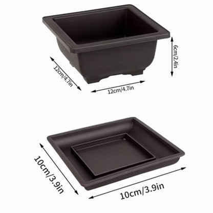 Purple Clay Succulent Plant Pots – Outdoor Garden Bonsai Planters, Rectangular & Square