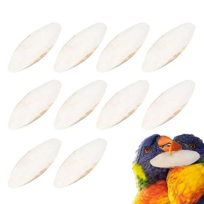 10-Pack Natural Bird Cuttlebone — Calcium Chew Toys for Parakeets, Tortoises, Snails & Cuttlefish (9–12cm)