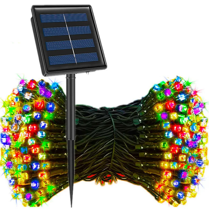 50035613073715|50035613139251|50035613172019|50035613204787