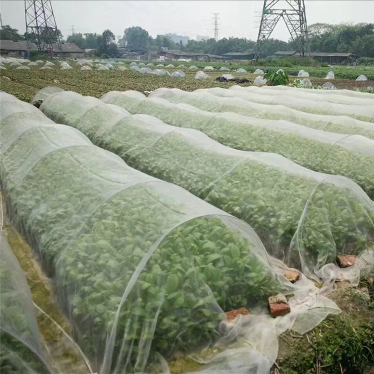 Garden Insect Protection Net – Greenhouse Protective Cover for Flowers, Vegetables, and Fruit Plants