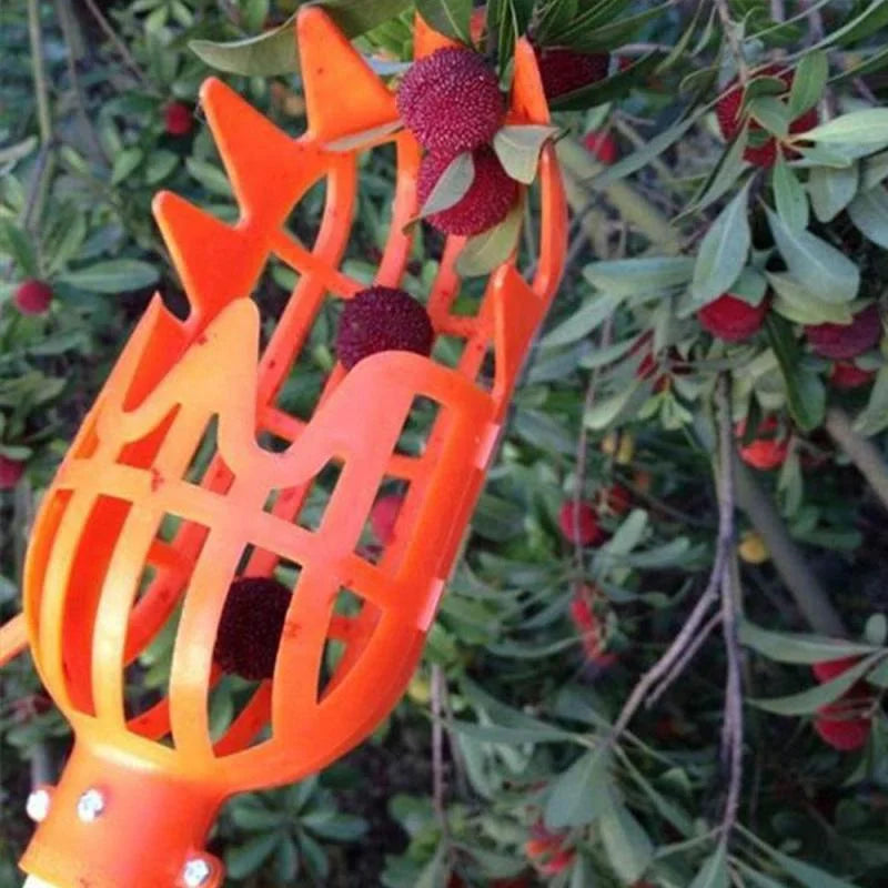 Multi-Color Garden Hand Fruit Picker | Plastic Picking Tool for Bayberry & Jujube Harvesting | Agrarische Fruit Catcher